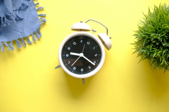 horloge biologique ou rythmes circadiens